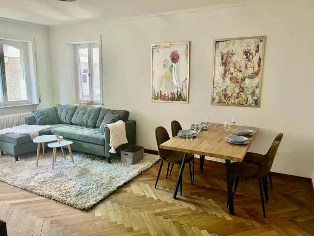 Fully furnished apartment downtown Stuttgart
