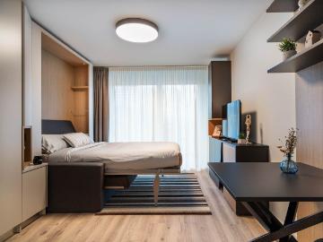 Fully furnished apartment for rent in Zurich Oerlikon with balcony, Zurich Amsterdam Apartments for Rent
