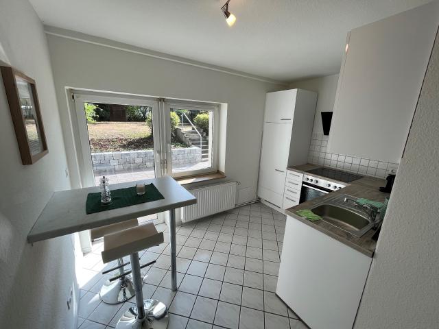 fully furnished basement apartment with large terrace