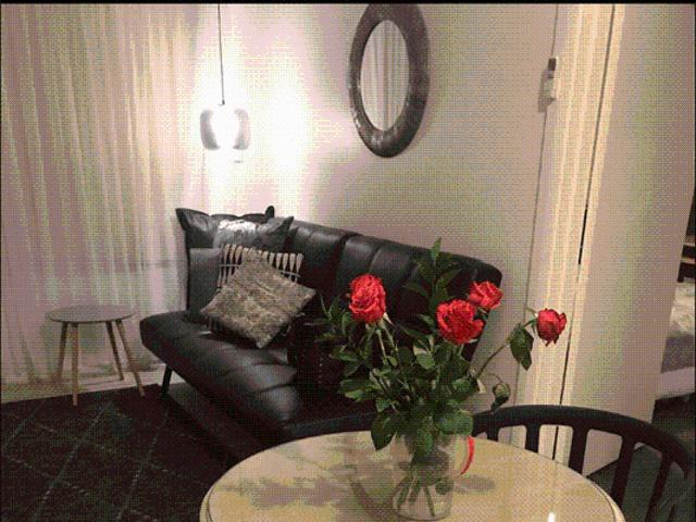 Fully Furnished between City and Sea