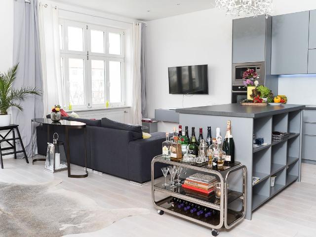 Fully Furnished, designer lighting and furnishings, one bedroom with a large living and kitchen area Prenzlauer Berg, Berlin Amsterdam Apartments for Rent