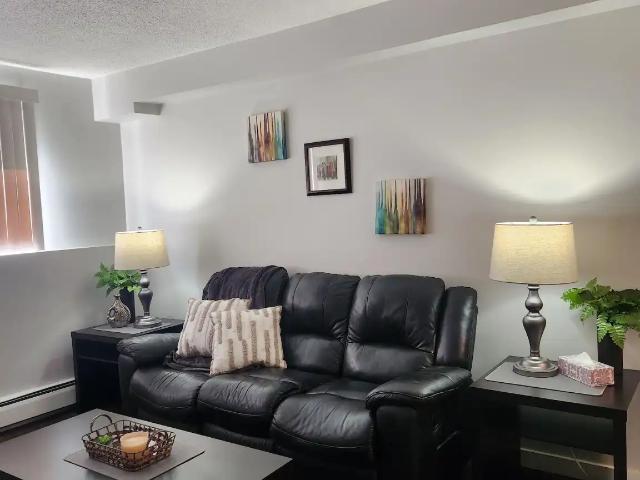 Fully Furnished One Bedroom Condo in Westpark