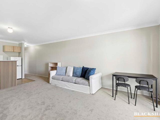 Fully Furnished One Bedroom Apartment