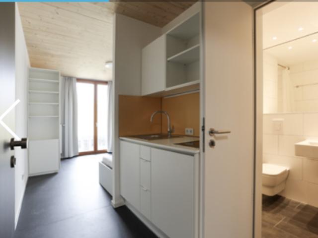 Fully Furnished Studio Apartment for Sublet November