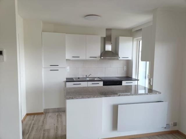 Fully renovated 1 bedroom apartment with terrace