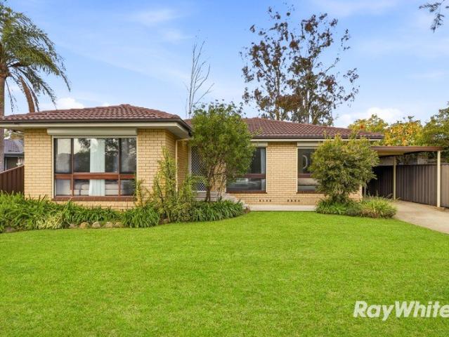 Fully Renovated Family Home on 563m² with Granny Flat Potential STCA
