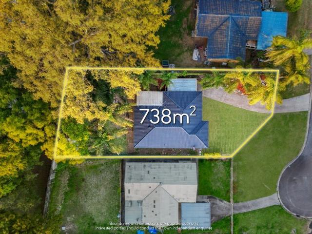 Fully Renovated Family Home on a Spacious Block