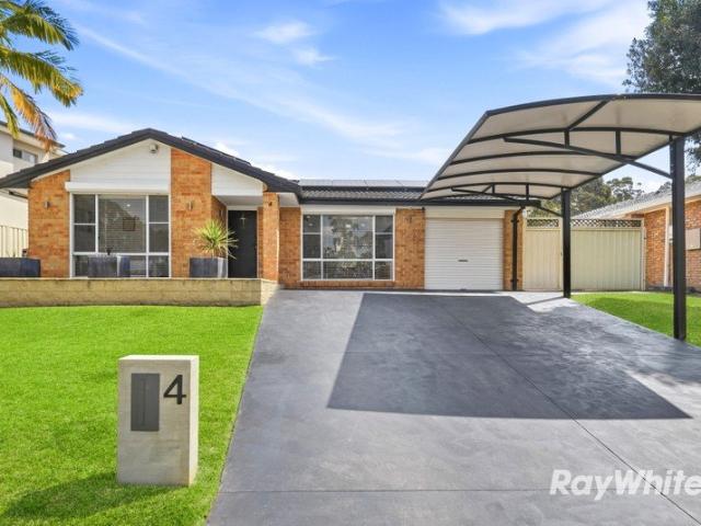 Fully Renovated Family Home with Resort Style Appeal