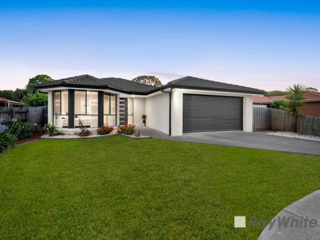 Fully Renovated Family Living in a Prime Hampton Park Location