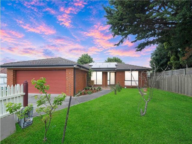 Fully Renovated Family Showpiece with Massive Living Areas