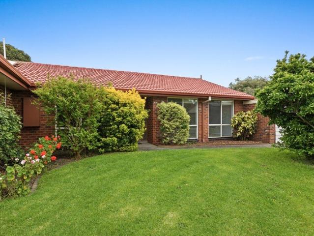Fully Renovated & Filled with Sun