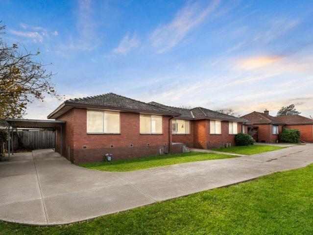 Fully Renovated, Sunlit Living in a Premium Oakleigh East Pocket