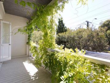 Fully Renovated Terrace House on Palmerston St