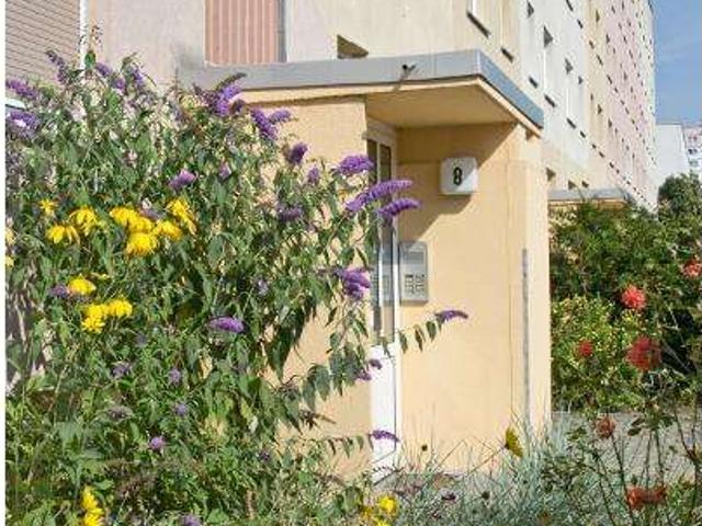 Für Familien: Platz zum Großwerden
