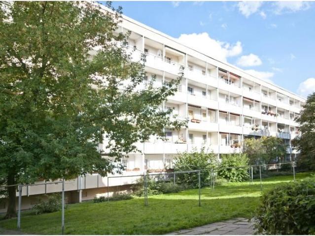 Für Familien: Platz zum Großwerden