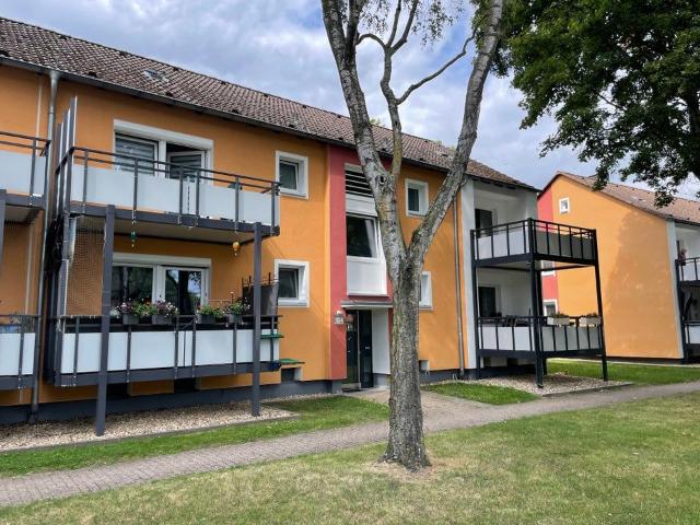 Für SIE wird diese Wohnung komplett neu renoviert