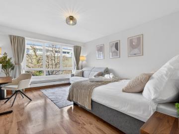 Furnished 1.5 room apartment for 4 people Basel