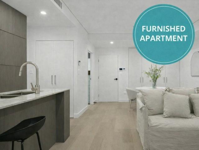 Furnished 1 Bedroom Apartment