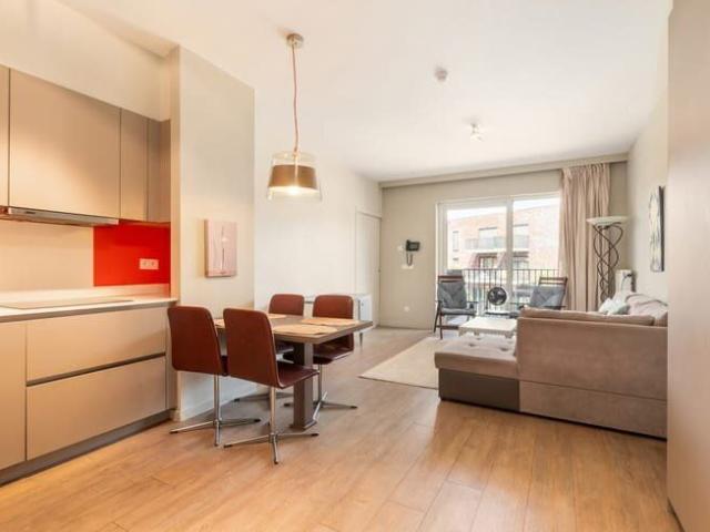 Furnished 1 bedroom apartment with terrace & parking space