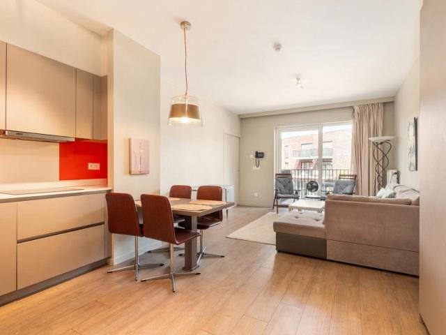 Furnished 1 bedroom apartment with terrace & parking space
