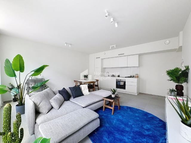 Furnished 1 bedroom apartment for rent