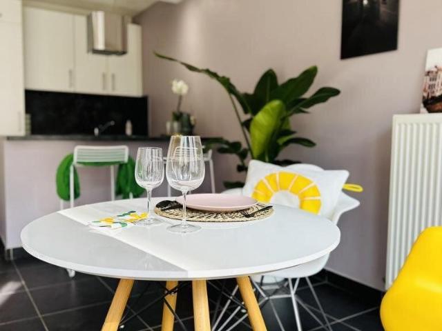 Furnished 1 bedroom appart terrace & garden Mons Center
