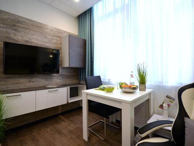 Furnished 1 Room Apartment in Offenbach City Center 19 m²