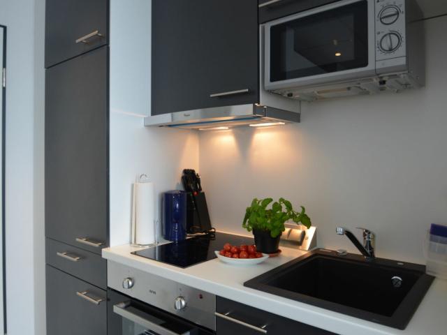 Furnished 1 Room Penthouse in Frankfurt Niederrad with Full Equipment