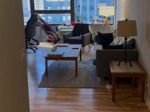 Furnished 1BR sublet