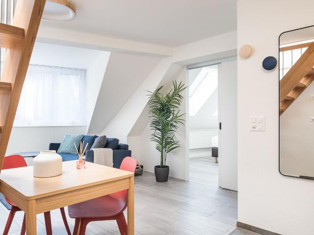 Furnished 2.5 Room Penthouse with Large Roof Terrace in Zurich, Zurich Amsterdam Apartments for Rent