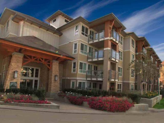 2bed 2bath Condo  Osprey 2 – Available September 1