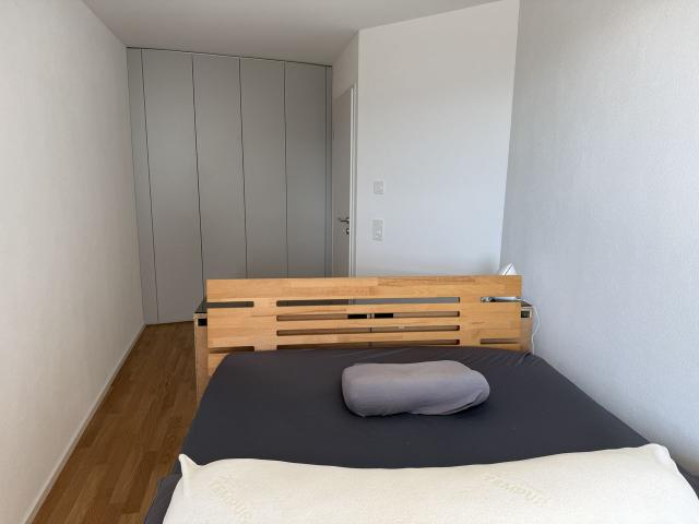 Furnished 4.5 Room Apartment with View and Rooftop Terrace in Lucerne, Luzern Amsterdam Apartments for Rent