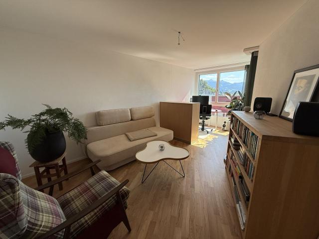 Furnished 4 Room Apartment with View and Rooftop Terrace in Lucerne, Luzern Amsterdam Apartments for Rent