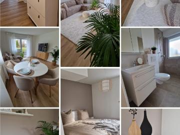 Furnished and fully equipped 2 room apartment complete renovation in 2025