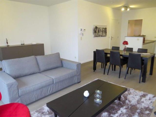 Furnished apartement downtown