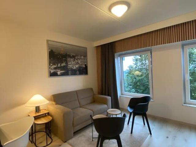 Furnished apartment for rent with nice view