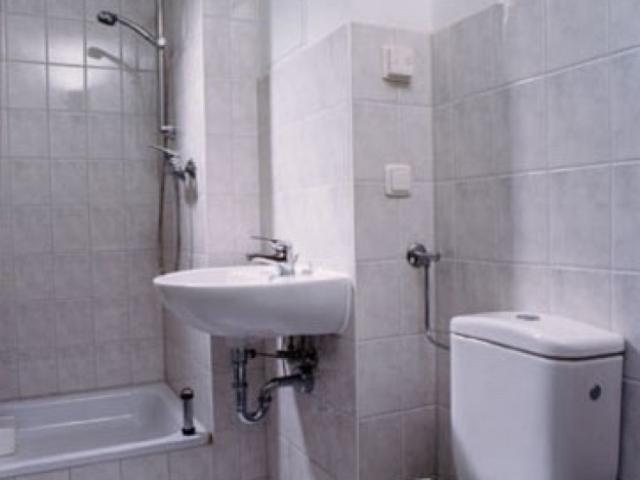 Furnished Apartment for Sublet in Dresden Female Tenants Only