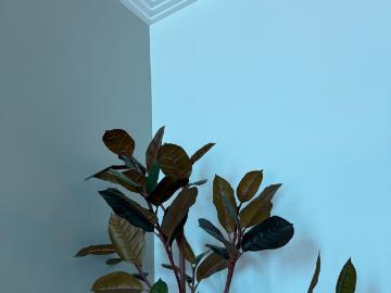 FURNISHED APARTMENT IN A NEW APARTMENT BUILDING, Leipzig Amsterdam Apartments for Rent