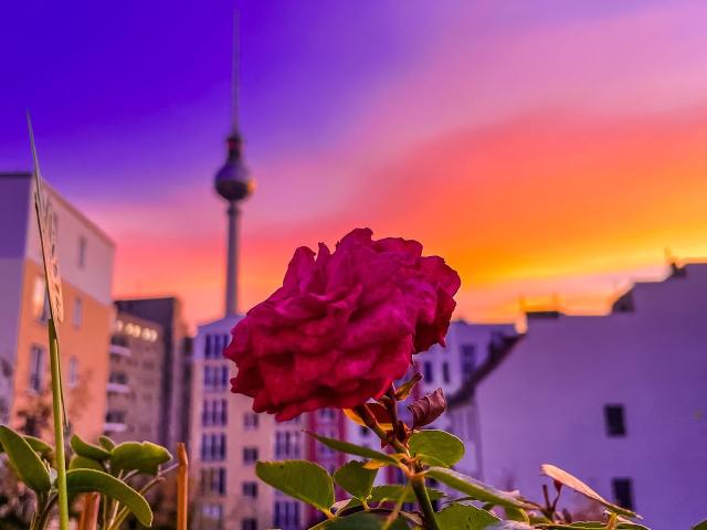 Furnished Apartment in Berlin Mitte: Live in the heart of Berlin with direct views of the TV Tower Berlin Amsterdam Apartments for Rent