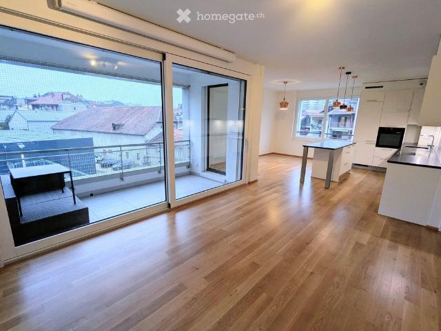 Furnished apartment in Carouge available 20 Dec 2026 31 May 2027