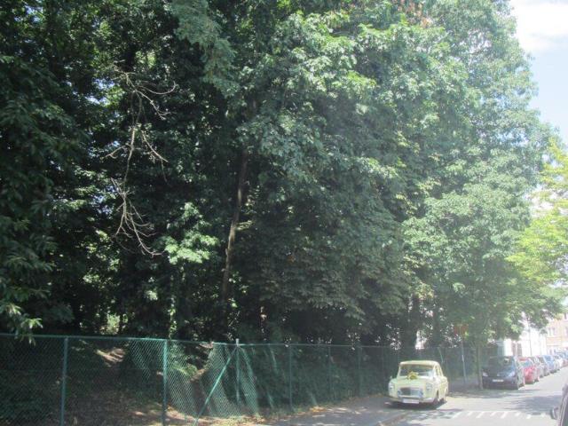 furnished apartment in front of park 1/9/23