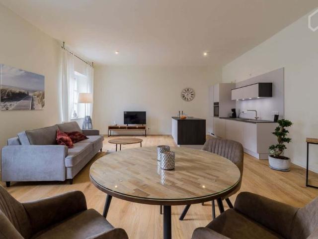 furnished apartment in premium location in Berlin Mitte