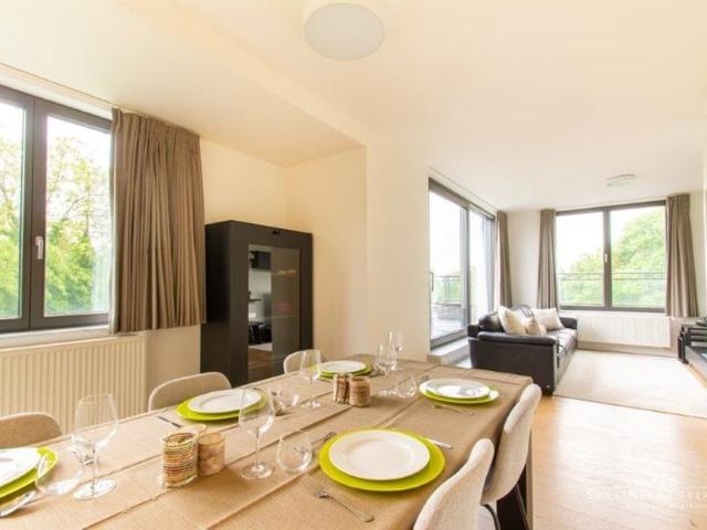 Furnished apartment Roosevelt area