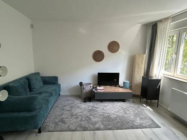 Furnished, bright 1 room apartment with a view of the greenery in Zollstock, Koln Amsterdam Apartments for Rent