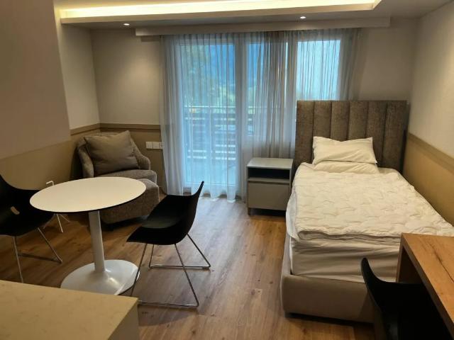 Furnished business Studio walk to Valens rehab Klink