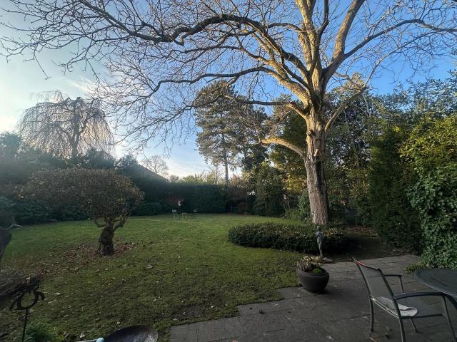 Furnished Detached House with Dream Garden in Cologne Lindenthal/Deckstein – for Temporary Rent, Koln Amsterdam Apartments for Rent