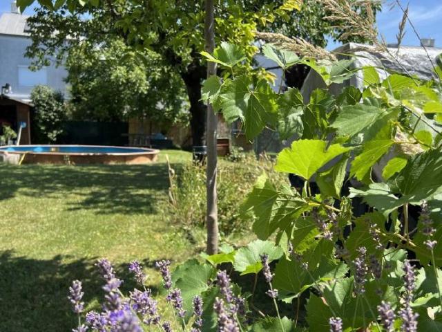 Furnished House with Garden, 170 sqm – 18 Min. to VIC, Vienna Essling, Vienna Amsterdam Apartments for Rent