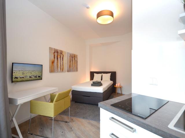 Furnished Junior Studio with Terrace in Berlin Mitte Wedding