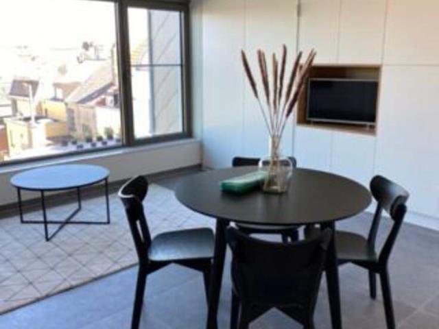 Furnished One Bedroom Apartment – Evere