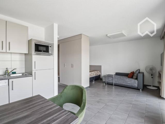 Furnished Modern Studio Apartment with Balcony, Stuttgart Amsterdam Apartments for Rent